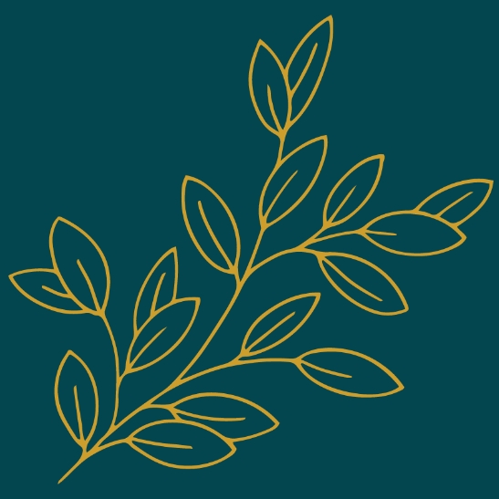 Birch Logo